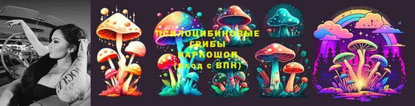 бошки Аркадак